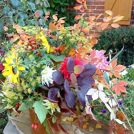 Gartenidylle In