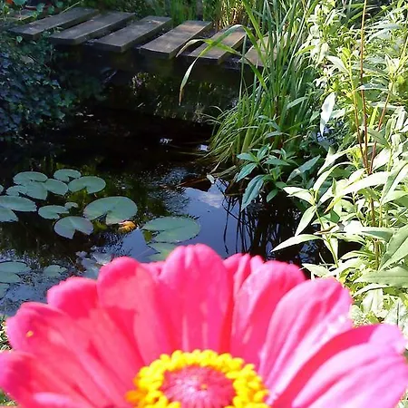 Privatunterkunft Gartenidylle In Sandau