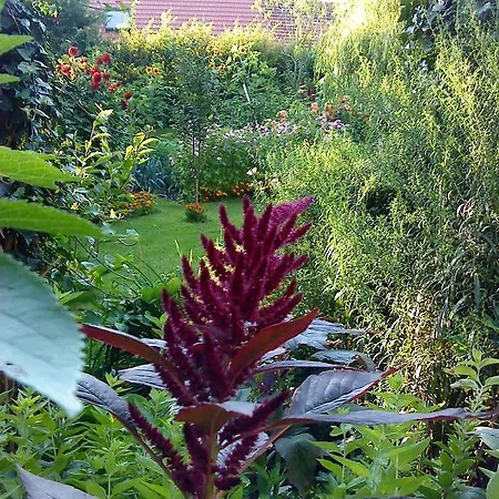 Gartenidylle In