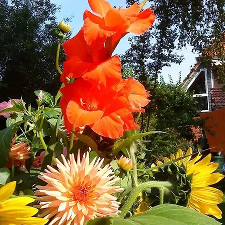 Gartenidylle In Sandau