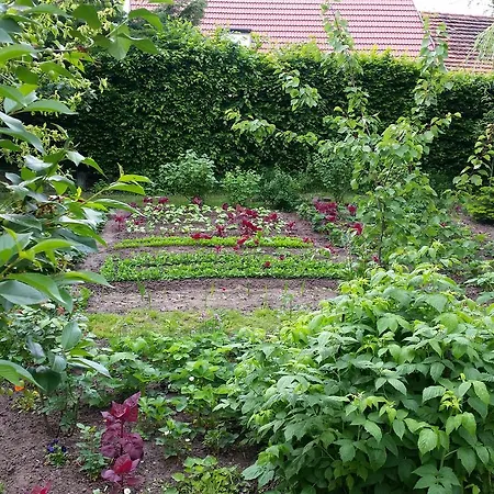 Privatunterkunft Gartenidylle In Sandau