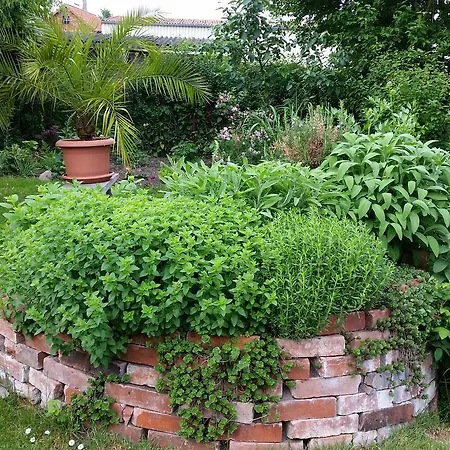 Privatunterkunft Gartenidylle In