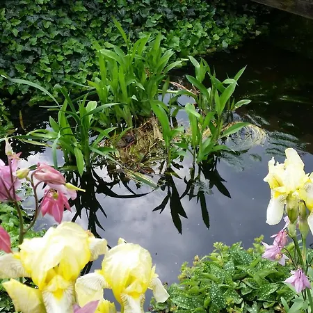 Privatunterkunft Gartenidylle In Sandau