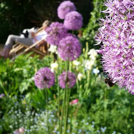 Gartenidylle In Privatunterkunft