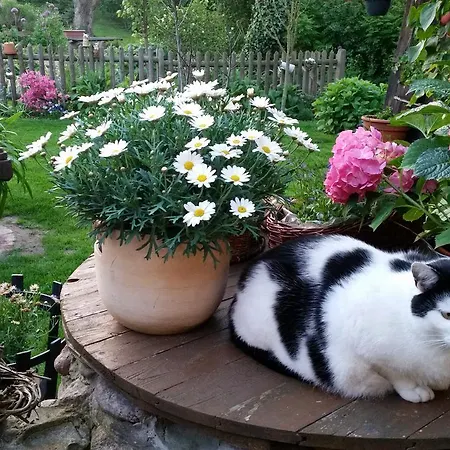 Gartenidylle In * Sandau